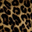 SMALL LEOPARD HAIR